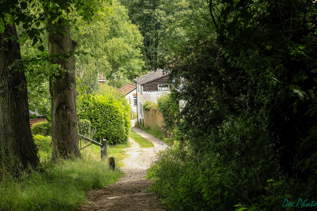 Pilgrim Way in&nbsp;Kent